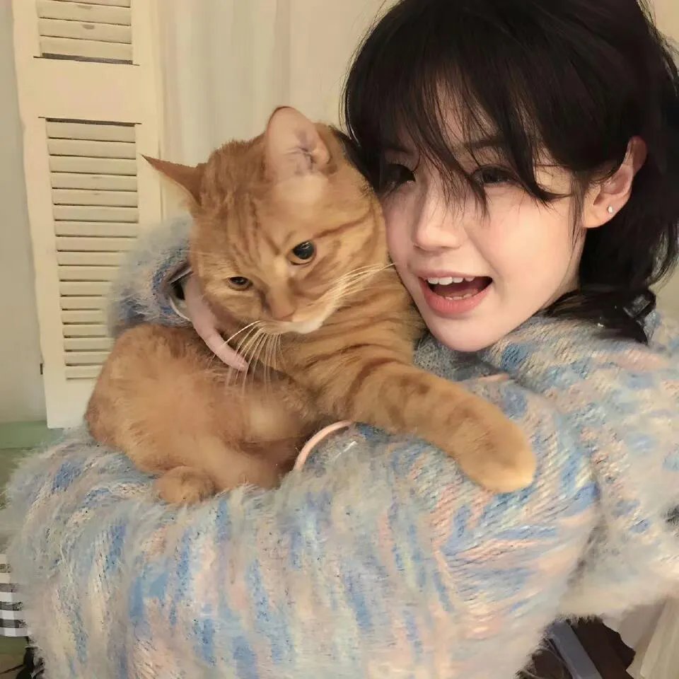 我能看到成功率第二季